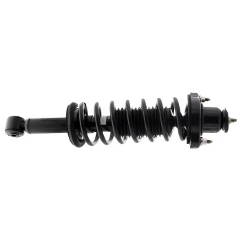 Suspension Strut and Coil Spring Assembly