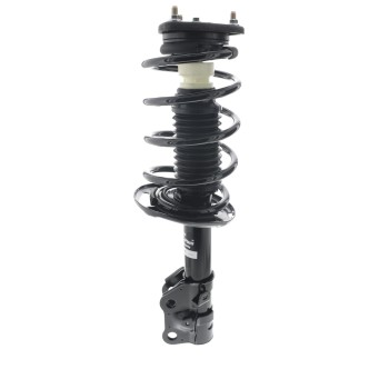 Suspension Strut and Coil Spring Assembly
