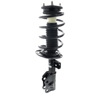 Suspension Strut and Coil Spring Assembly
