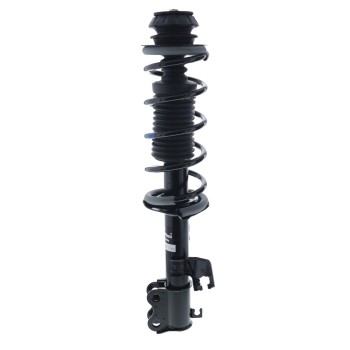 Suspension Strut and Coil Spring Assembly