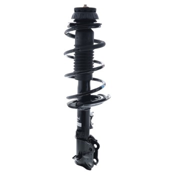 Suspension Strut and Coil Spring Assembly