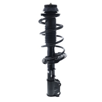 Suspension Strut and Coil Spring Assembly