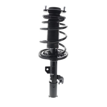 Suspension Strut and Coil Spring Assembly