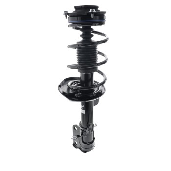 Suspension Strut and Coil Spring Assembly