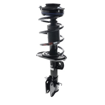 Suspension Strut and Coil Spring Assembly