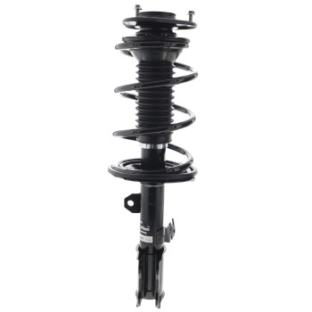 Suspension Strut and Coil Spring Assembly