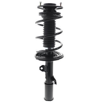 Suspension Strut and Coil Spring Assembly