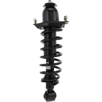 Suspension Strut and Coil Spring Assembly
