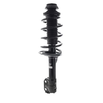Suspension Strut and Coil Spring Assembly