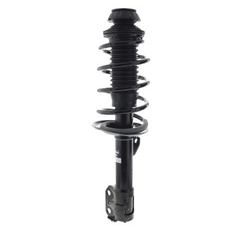 Suspension Strut and Coil Spring Assembly