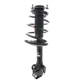 Suspension Strut and Coil Spring Assembly