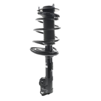 Suspension Strut and Coil Spring Assembly