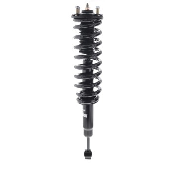 Suspension Strut and Coil Spring Assembly