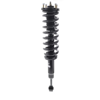 Suspension Strut and Coil Spring Assembly