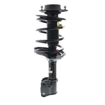Suspension Strut and Coil Spring Assembly