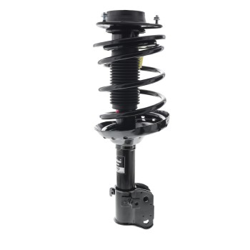 Suspension Strut and Coil Spring Assembly