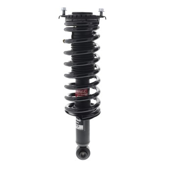 Suspension Strut and Coil Spring Assembly