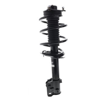 Suspension Strut and Coil Spring Assembly