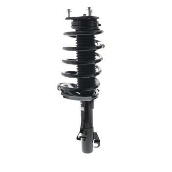Suspension Strut and Coil Spring Assembly