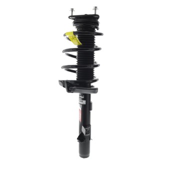 Suspension Strut and Coil Spring Assembly