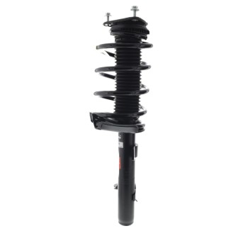 Suspension Strut and Coil Spring Assembly