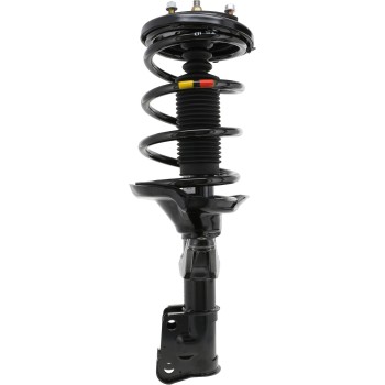 Suspension Strut and Coil Spring Assembly