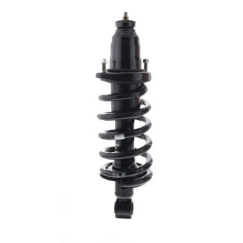 Suspension Strut and Coil Spring Assembly