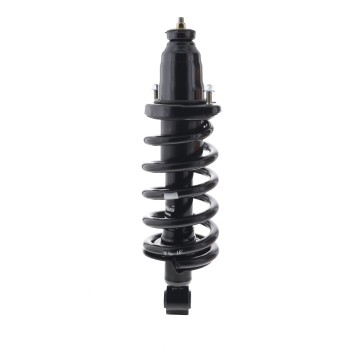 Suspension Strut and Coil Spring Assembly