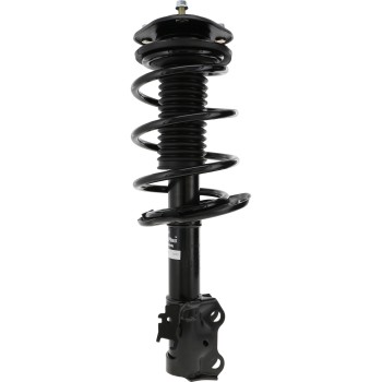 Suspension Strut and Coil Spring Assembly