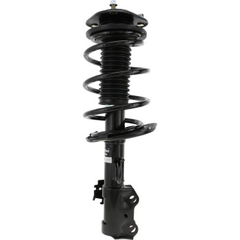 Suspension Strut and Coil Spring Assembly