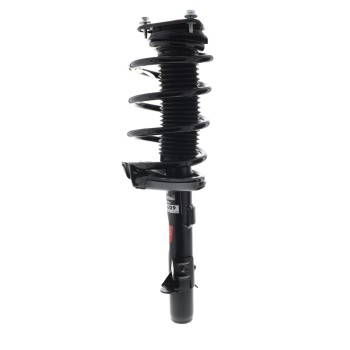 Suspension Strut and Coil Spring Assembly