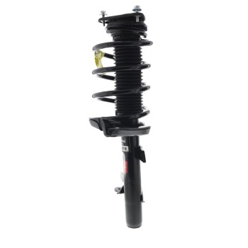 Suspension Strut and Coil Spring Assembly