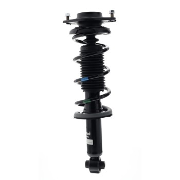 Suspension Strut and Coil Spring Assembly