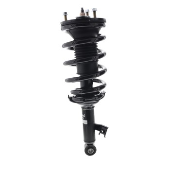 Suspension Strut and Coil Spring Assembly