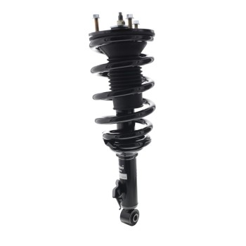 Suspension Strut and Coil Spring Assembly