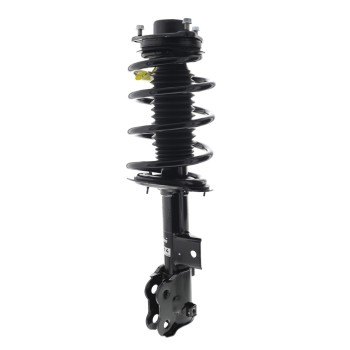 Suspension Strut and Coil Spring Assembly