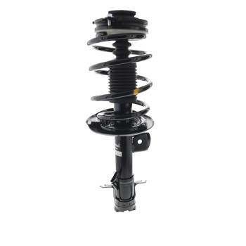 Suspension Strut and Coil Spring Assembly