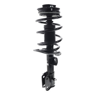 Suspension Strut and Coil Spring Assembly
