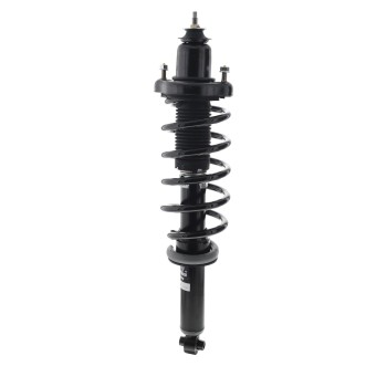 Suspension Strut and Coil Spring Assembly