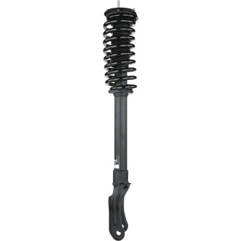 Suspension Strut and Coil Spring Assembly
