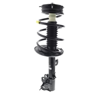 Suspension Strut and Coil Spring Assembly