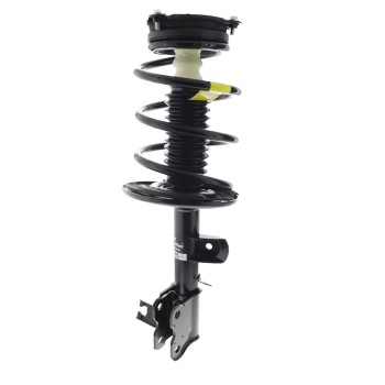 Suspension Strut and Coil Spring Assembly