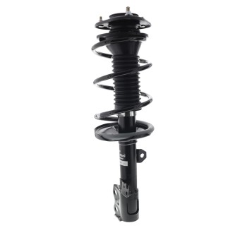 Suspension Strut and Coil Spring Assembly