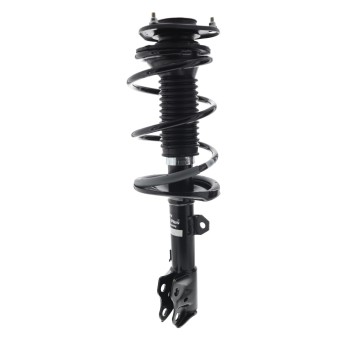 Suspension Strut and Coil Spring Assembly