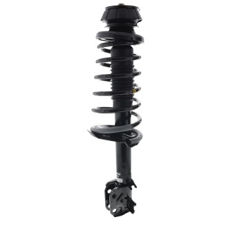 Suspension Strut and Coil Spring Assembly