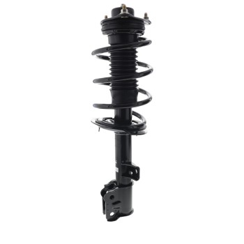 Suspension Strut and Coil Spring Assembly