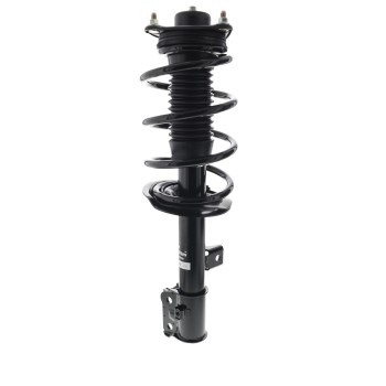 Suspension Strut and Coil Spring Assembly
