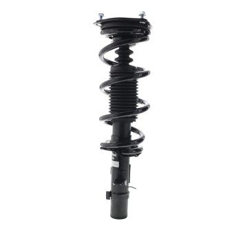 Suspension Strut and Coil Spring Assembly