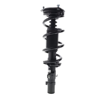 Suspension Strut and Coil Spring Assembly