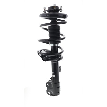 Suspension Strut and Coil Spring Assembly